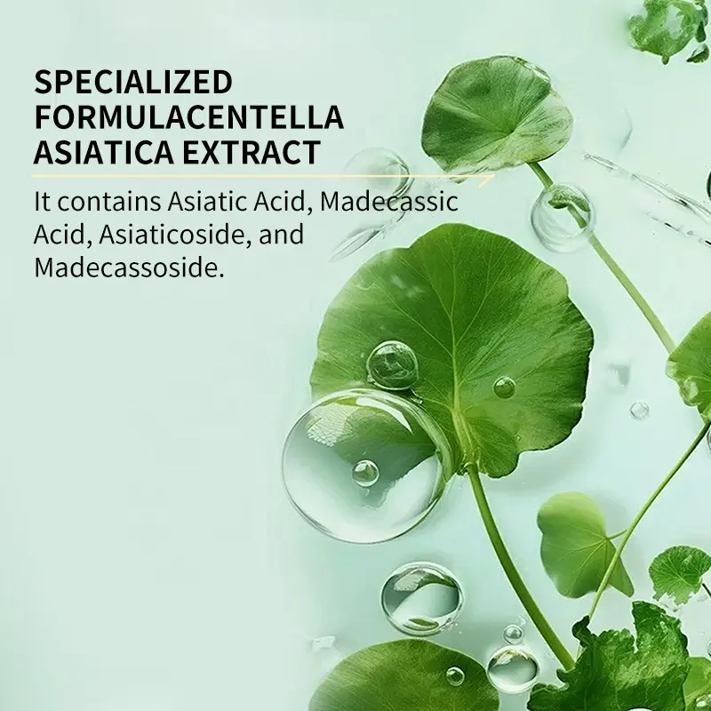 AESTHTANY Centella Asiatica Calming Hydrating Facial Set Vitamin C Elasticity Boosting for Sensitive Skin Daily Care-Luxurious