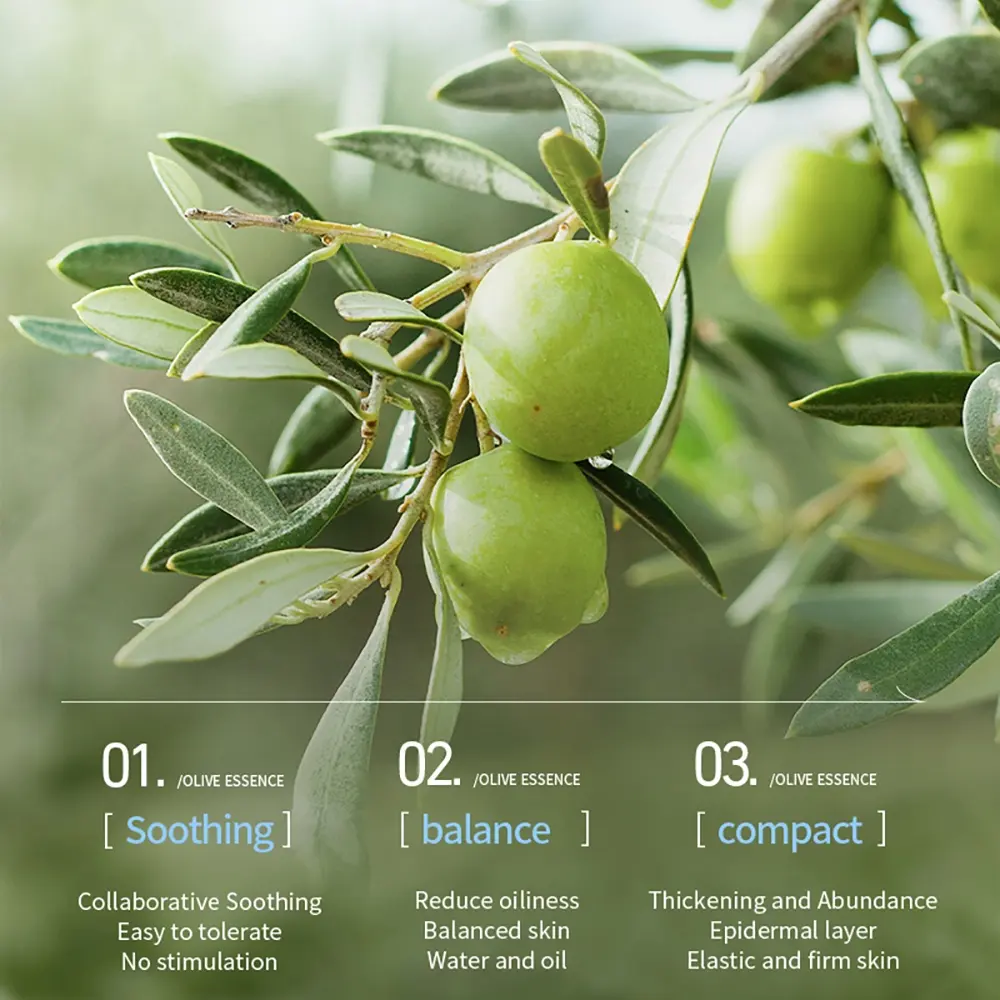 Olea Europaea Soothing Moisturising Serum Improves Redness Sensitive Skin Hydrating & Nourishing OEM Serum