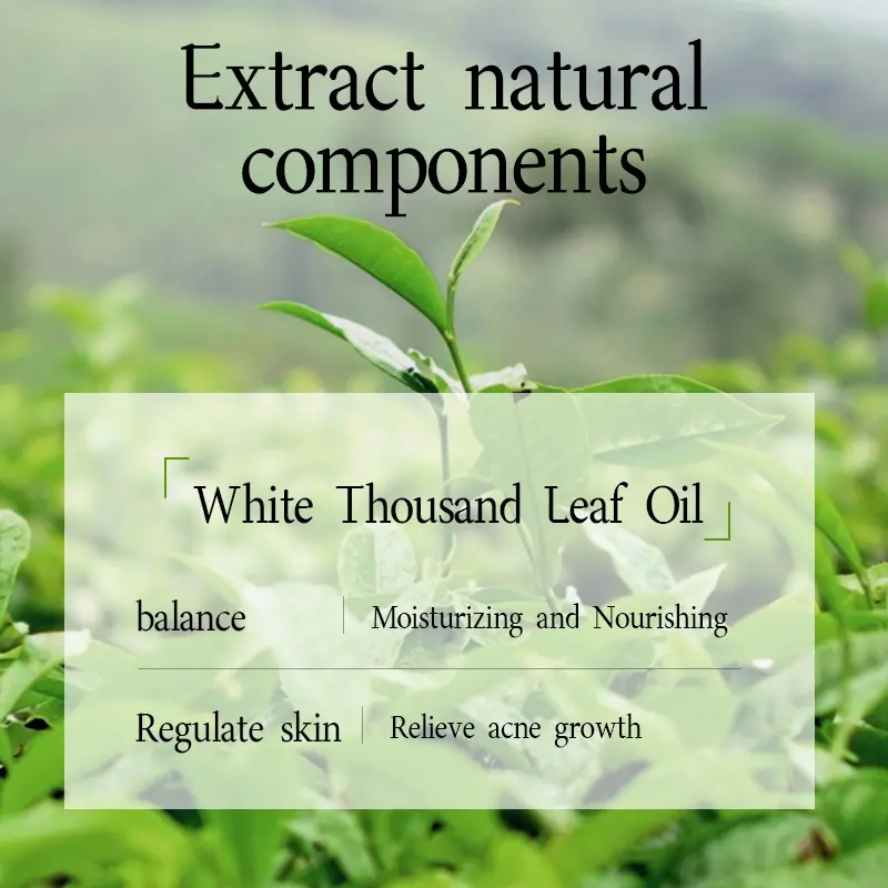 Private Label Boxed 8pcs Tea Tree Hyaluronic Acid Silk Facial Conditioning Sheet Balance Sebum Hydrate Skin Daily Facial Care