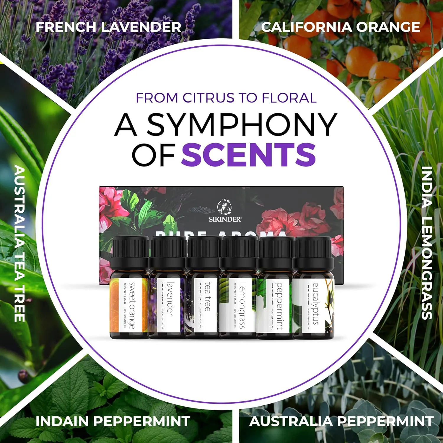 Hot Sale Pure Nature Organic Essential Oils Tea Tree Peppermint Lavender Diffuser with Myrrh Sandalwood Wholesale Selling Points