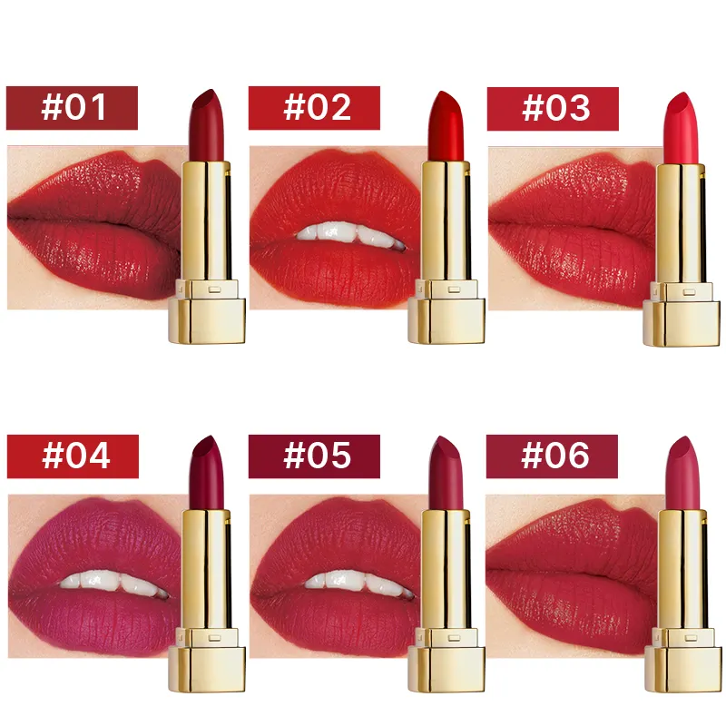 Custom Lipstick OEM Beauty Cosmetics Manufacturers Waterproof Matte Moisturizing Vegan Black Gold Private Label