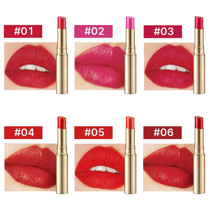 Custom Fashion Chemical Lipstick OEM Cosmetics Manufacturers Waterproof Long Lasting Matte Moisturizing Private Label