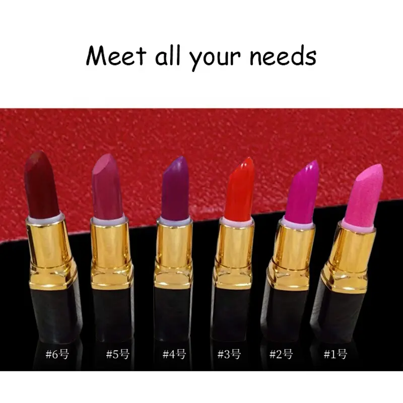 Create Your Logo Brand Lipstick Makeup Private Label Lipstick