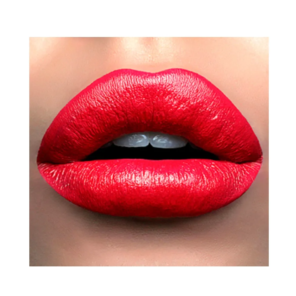 Private Label Lipstick Vendor Makeup New Product OEM ODM Lipstick Rebranding Matte Lipstick Cosmetics