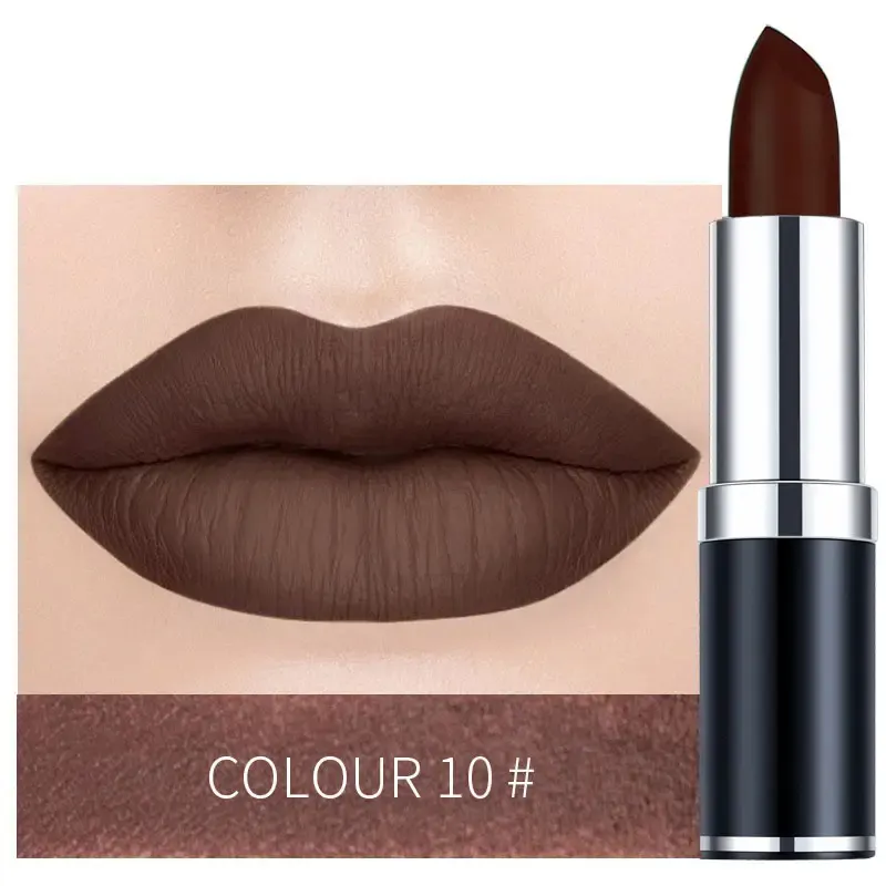 12Color HighEnd Lipstick Set OEM Customization Matte & Moisturizing