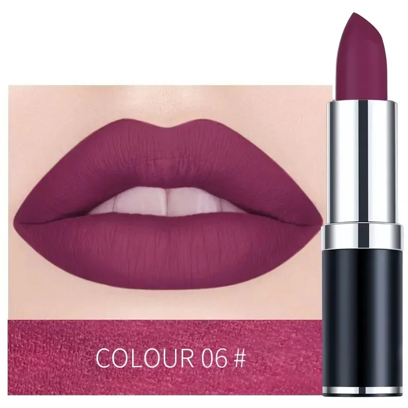 12Color HighEnd Lipstick Set OEM Customization Matte & Moisturizing