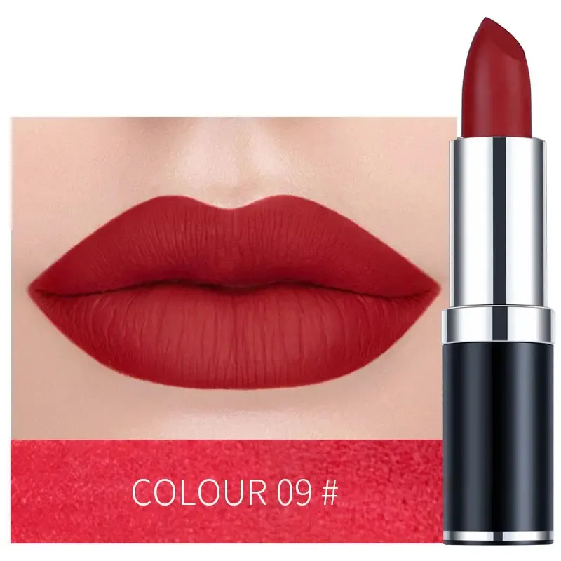 12Color HighEnd Lipstick Set OEM Customization Matte & Moisturizing
