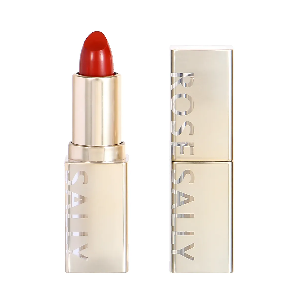 Private Label Custom 2 in 1matte Ladies Lipstick Longlasting Creamy Oem Red Waterproof Colorfast Lip Sticks