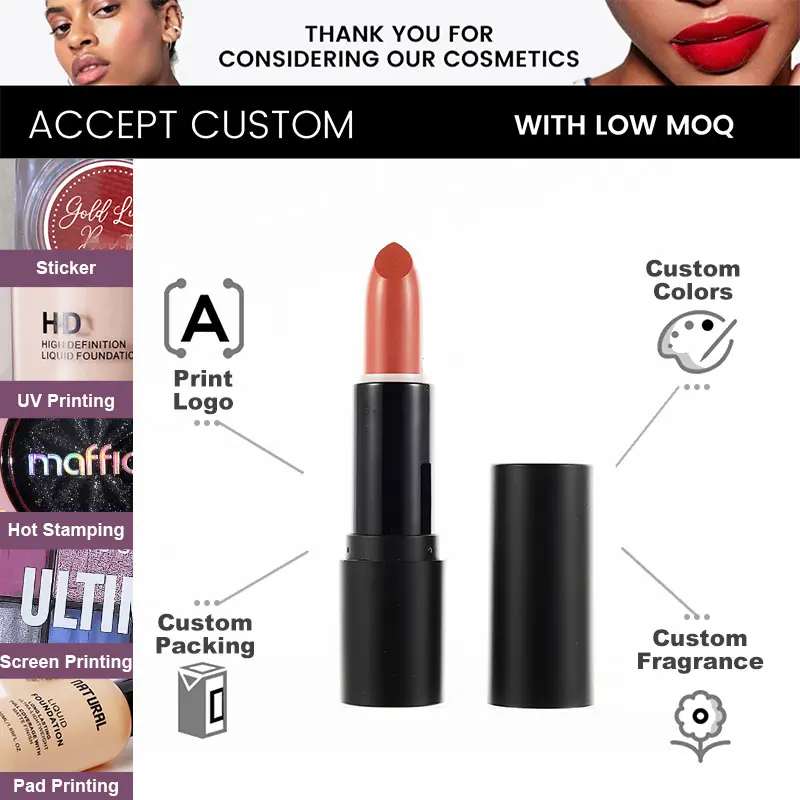 Long Wearing Vegan Non Toxic Matte Lipstick Luxury Professional Non-Stick Matte waterproof Cream Lipstick