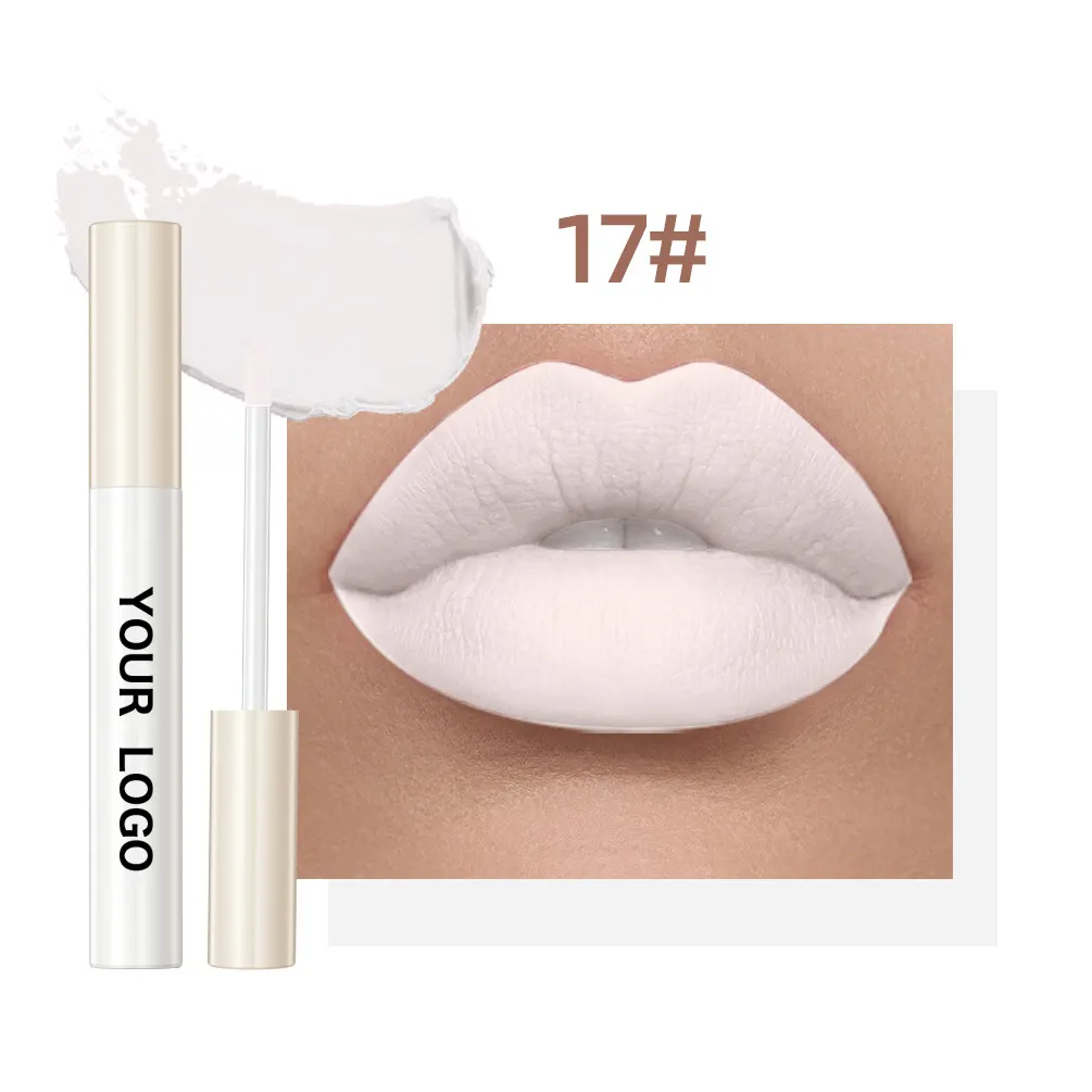 Custom Lip Gloss Oem Makeup Manufacturers Odm 24 Colors Lip Glaze Waterproof Matte Lip Gloss Private Label