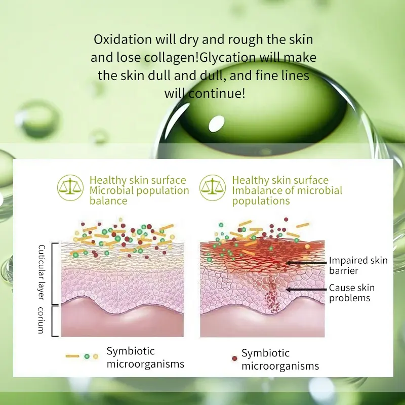 OEM Sale 6-Piece Korean Style Skincare Set with Cordyceps Sinensis & AHA for All Skin Types-Anti-Aging Facial Care Kit