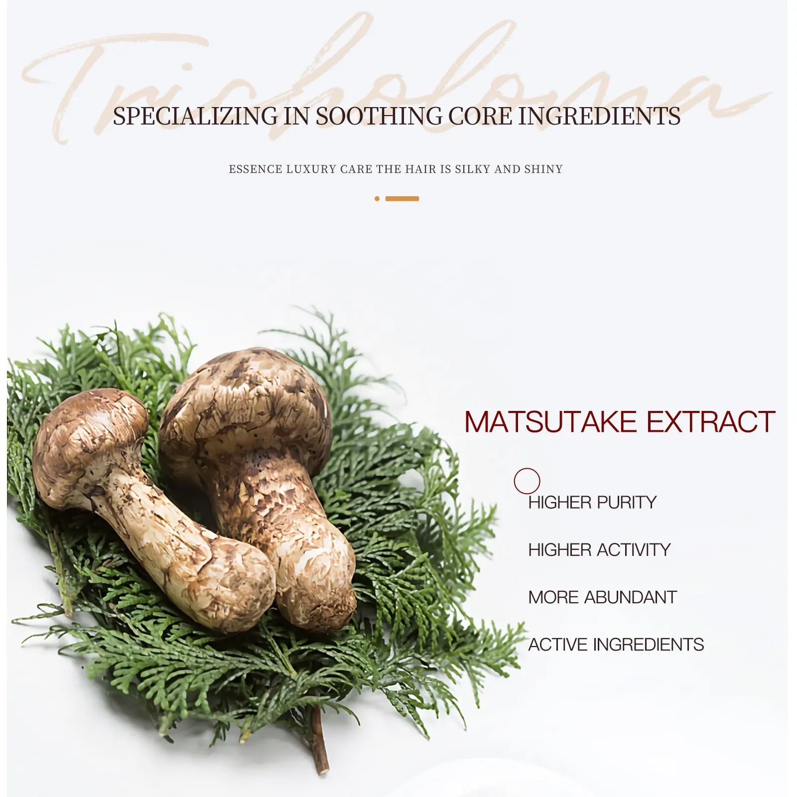 Matsutake 7-Piece Vegan Skin Care Set Hydrating & Soothing Moisturizer Complete Face Anti-Aging Care Featuring Armillaria