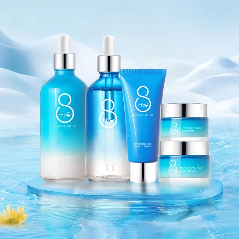 AESTHTANY Hyaluronic Acid Moisturizing Luxury Korean Skincare Kit Nourish Skin Barrier Soothing Daily Facial Anti Aging Care OEM