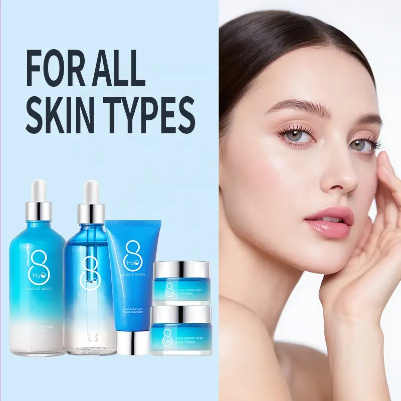 AESTHTANY Hyaluronic Acid Moisturizing Luxury Korean Skincare Kit Nourish Skin Barrier Soothing Daily Facial Anti Aging Care OEM