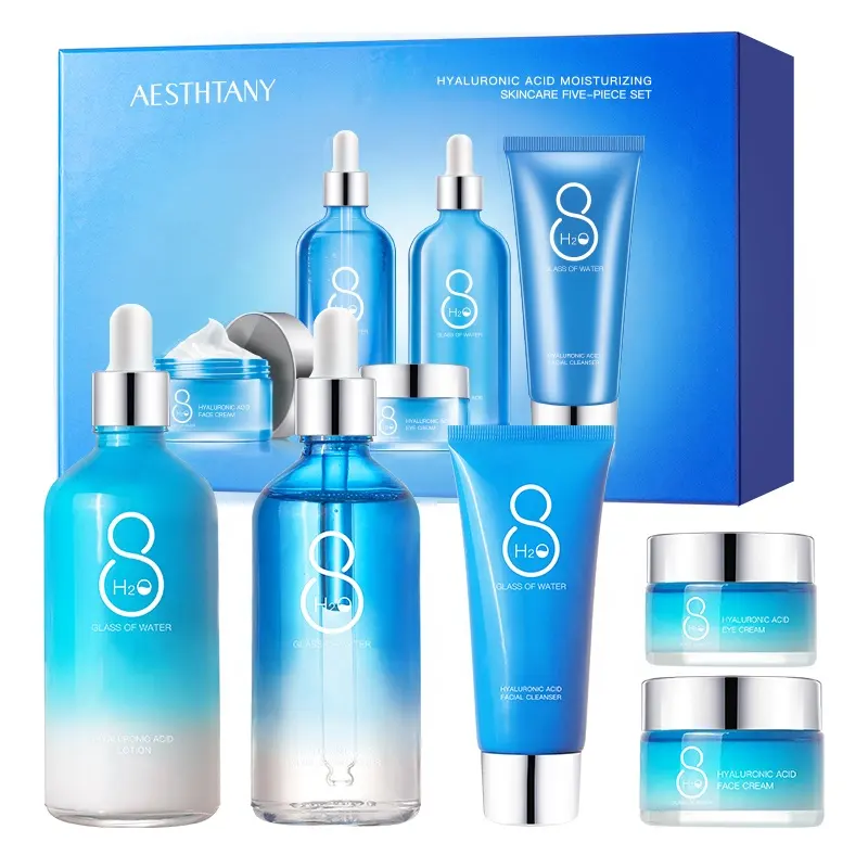 AESTHTANY Hyaluronic Acid Moisturizing Luxury Korean Skincare Kit Nourish Skin Barrier Soothing Daily Facial Anti Aging Care OEM