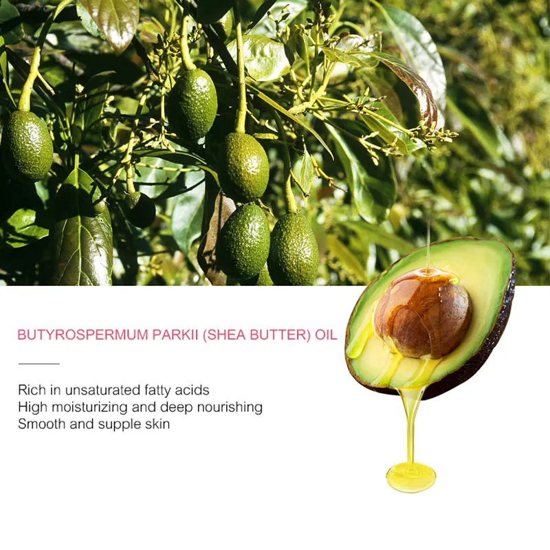 Facial Kit Skincare Product Supplier Avocado Hyaluronic Acid Moisturizing Anti-aging Serum Skin Care Set Brand Customization