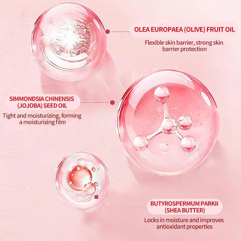 AESTHTANY Organic Nourishing Hydrating Soothing Rose Essential Oil Body Cream Shower Gel Set for Children Whitens Moisturizes