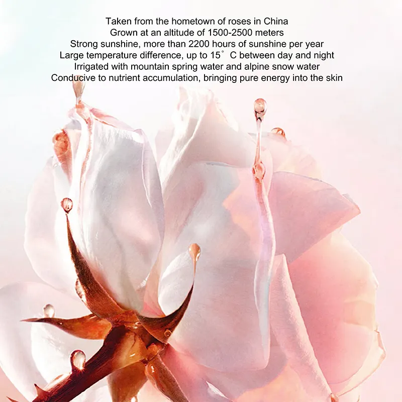 Face Care Anti-Wrinkle Whitening Brightening Hydrating Moisturizing Flower Pure Pearl Skin Care Product Care Set Skincare Set