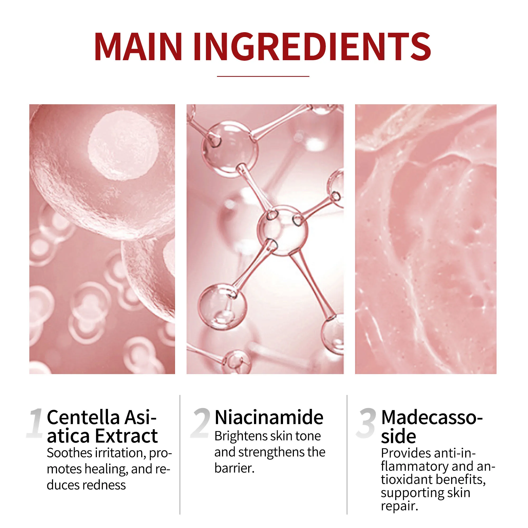 GMPC Factory Madagascar Centella Asiatica Niacinamide Skincare Set Toner Calming Ampoule Barrier Support Cream MoCRA Ready